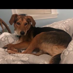 Meet your Posher, Caroline